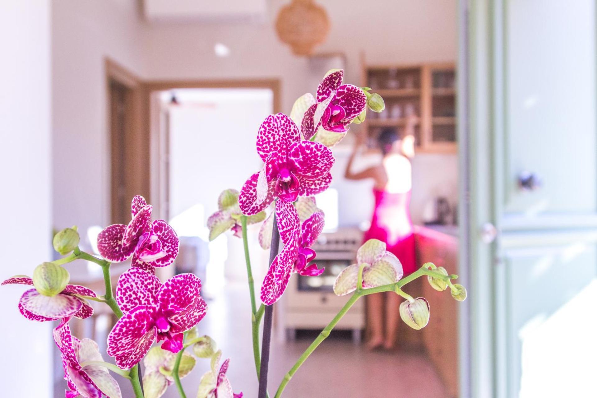 Petra Boutique Villas Arginonda Room photo